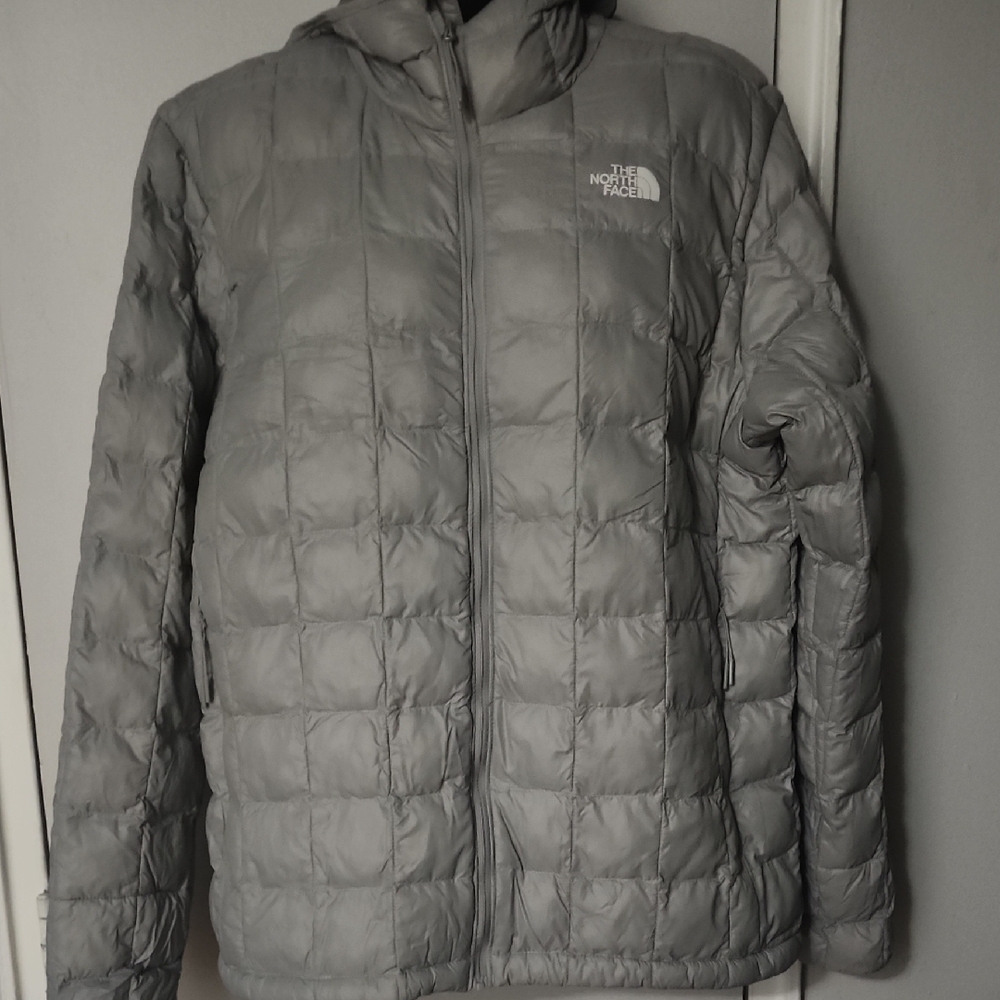 The North Face Men's Silver Puffer Jacket